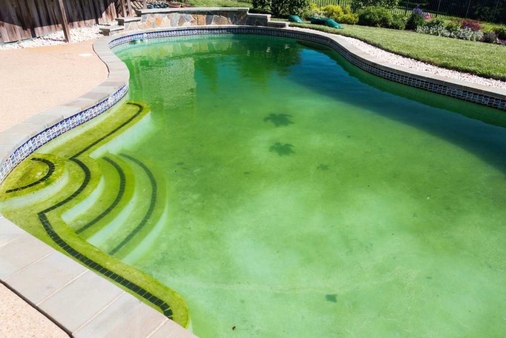 Cuándo cambiar el filtro de tu piscina: señales de que ya no filtra bien