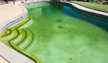 Cuándo cambiar el filtro de tu piscina: señales de que ya no filtra bien